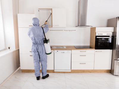 About North Bergen Exterminators - exterminator North Bergen NJ experts in North Bergen