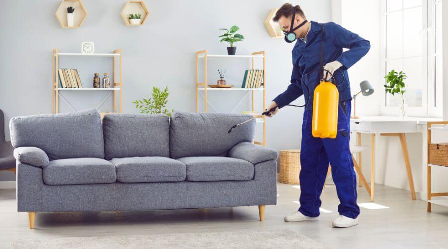 Why choose North Bergen Exterminators for exterminator North Bergen NJ in North Bergen